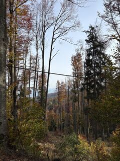 Photo de Gino Valentino Pensuni le long du parcours