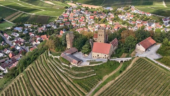 Blick auf Burg Neipperg