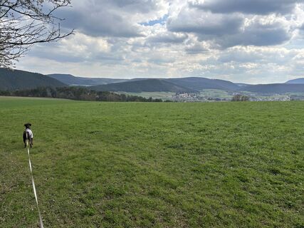Foto von Car Wanderfreude entlang der Tour