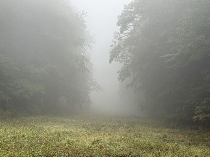 Fotografia z Sándor Varga 8 na trase