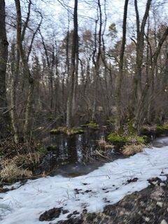 Fotografija s spletne strani Péter Szabó na poti