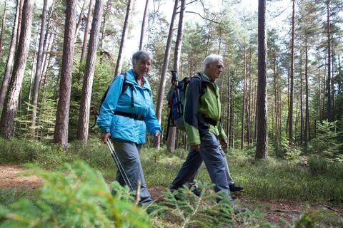 Wanderung in Wart | Foto: Ulrike Klumpp