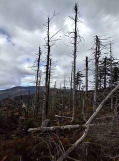 Zdjęcie z Christian Krebs wzdłuż trasy