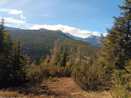 Fotografie z Harald Bäck na trase