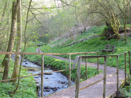 Sunderbachtal