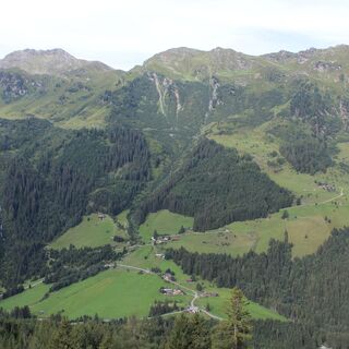 Blick in die grünen Tuxer Alpen