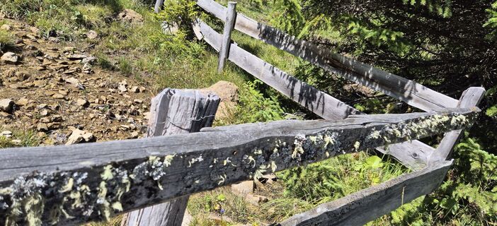 Kuva osoitteesta Axel Gruenewald matkan varrella