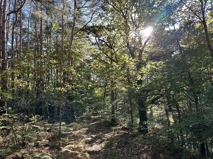 Fotografia z Kurt Hackenbeck na trase