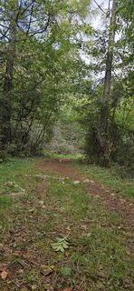 Fotografia z lubos porada na trase