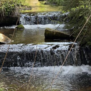 Fotografija s spletne strani Steffen Kiesel na poti