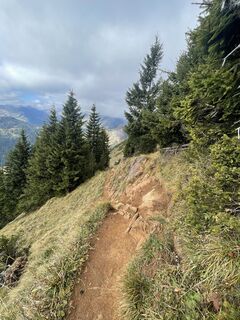 Foto de pedaklaus a lo largo del recorrido