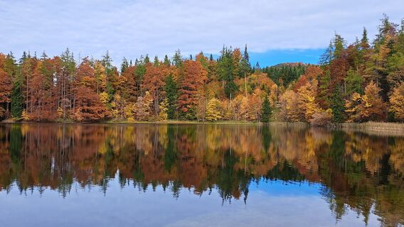 Foto da Gerhard Faugel lungo il tour