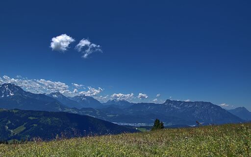 Auf der Spielbergalm: vom Göll bis zum Hockstaufen