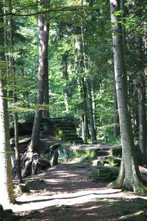Ostweg-1
