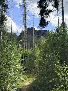 Foto von Paul entlang der Tour