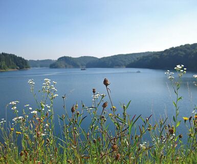Wahnbachtalsperre