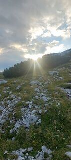 Foto von Klappacher Birgit entlang der Tour