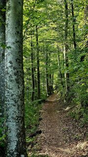 Photo de Danijel Sorola le long du parcours