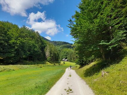 Weg zur Enzianhütte