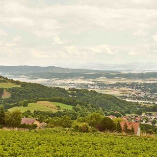 Maria Taferl im Sommer mit Panoramablick