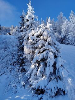 Foto de Albert Grillitsch a lo largo del recorrido