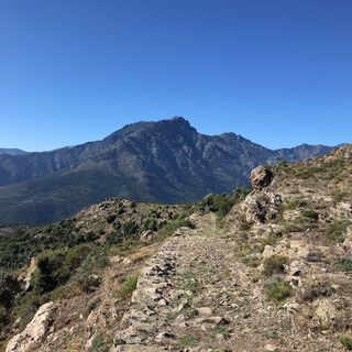 MTB-FFC 10 : Maltiola