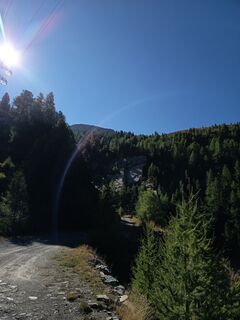 Photo de Aner le long du parcours