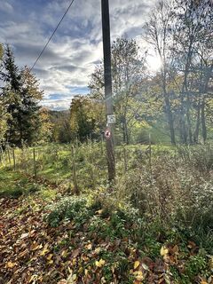 Foto de Sara B a lo largo del recorrido