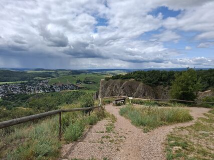 Foto von nordbergschnecke entlang der Tour