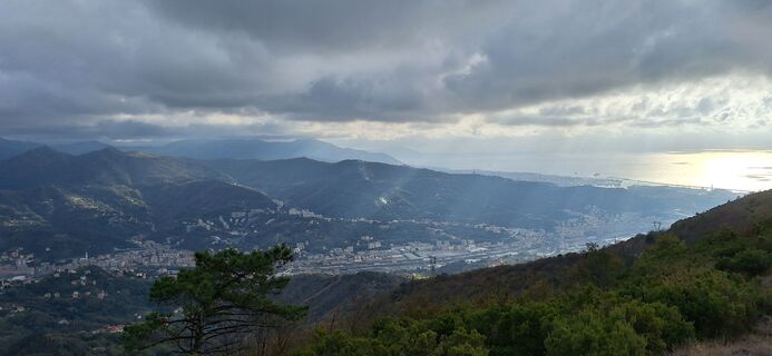 Fotografia z uto na trase