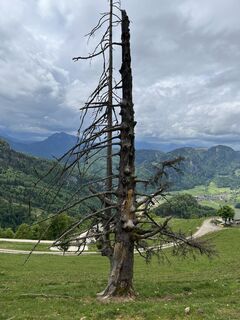 Foto von Lothar entlang der Tour
