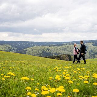 Maiblumenwiese bei Holzhau