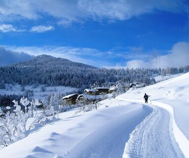 Weg zum Vazon - Winter