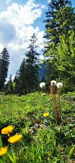 Fotografie de la Klaus Lehner de-a lungul turului