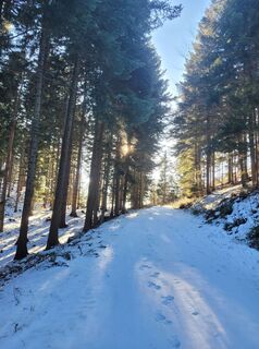 Photo de Anita Stadtherr le long du parcours