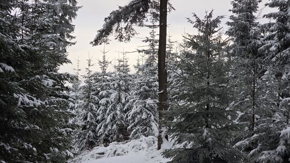 Foto von Katja Senkel entlang der Tour