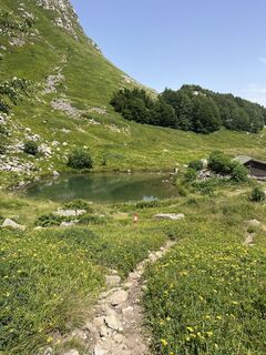 Foto von Nicola Florini entlang der Tour