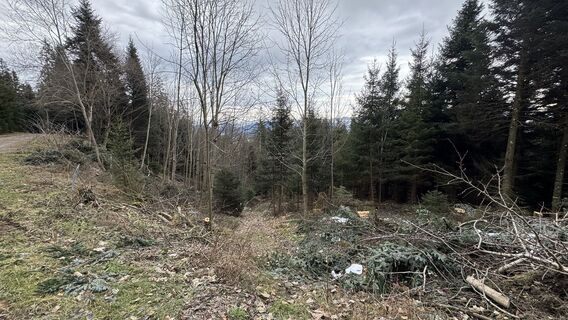 Fotografia z peter_oe na trase