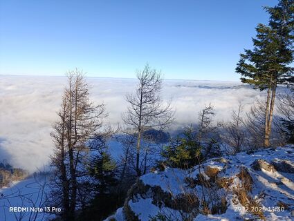 Foto von Melanie Rapperstorfer 1 entlang der Tour