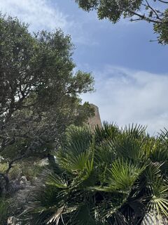 Fotografie de la Felix Wieland de-a lungul turului