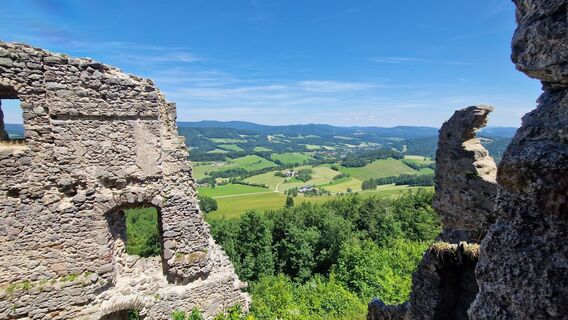 Foto von Claudia Maurer entlang der Tour