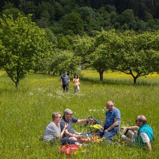 Wandern - Picknick
