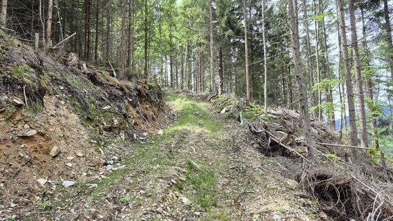 Wald am Schoberpaß, Steiermark/Österreich