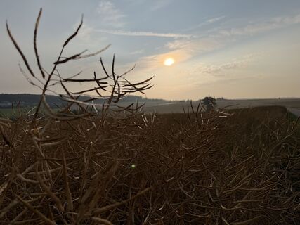 Foto von Schaali entlang der Tour