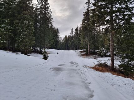 Foto da Clemens von Musil lungo il tour