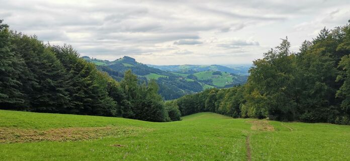 Photo de Paula Sedláček le long du parcours