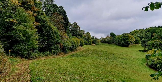 Foto von zirberl entlang der Tour