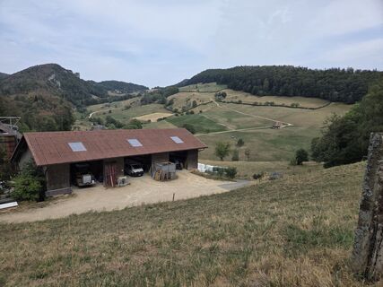 Zdjęcie z Jwemmenhove wzdłuż trasy