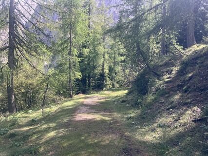 Fotografia z Heincz na trase