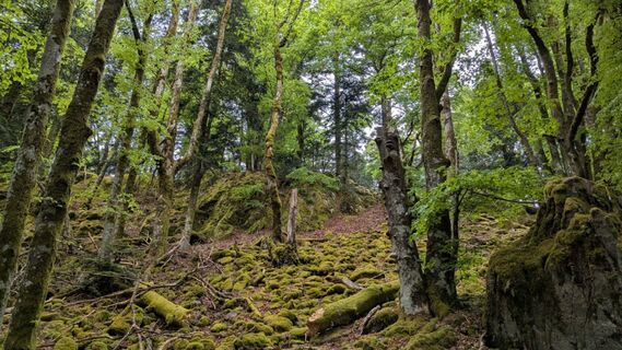 Photo de Richard Schwald le long du parcours